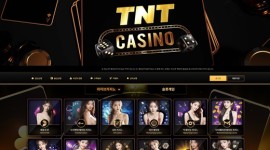 티엔티카지노 신규 놀이터 먹튀사이트 검토